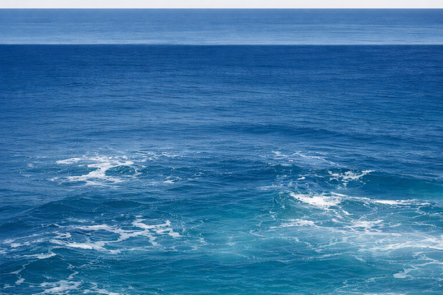 Ocean background for marine rescue call to action