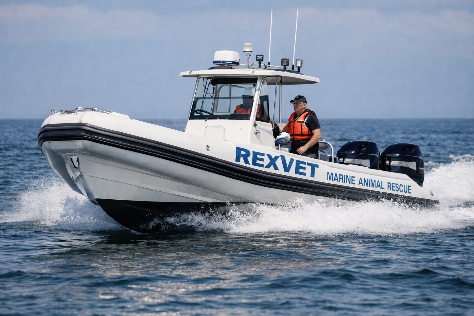 Marine animal rescue operation